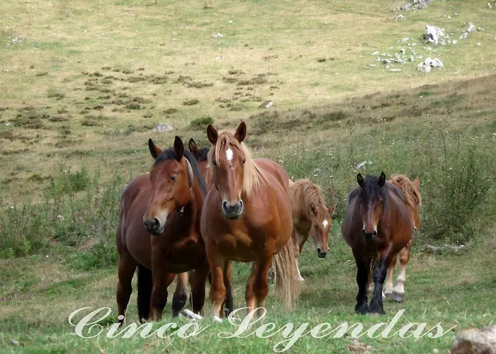Cinco Leyendas Liegos